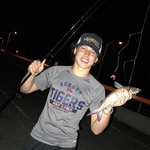 Meet your Posher, Gavin